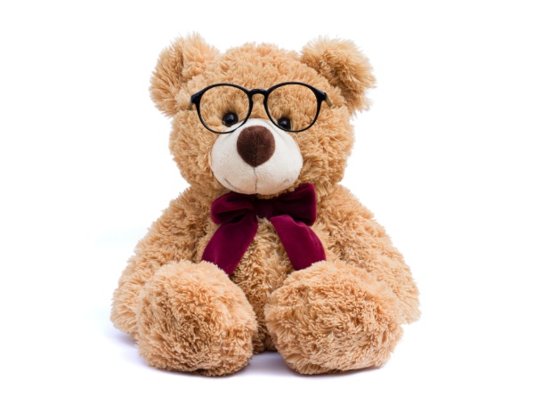 A Plush Toy