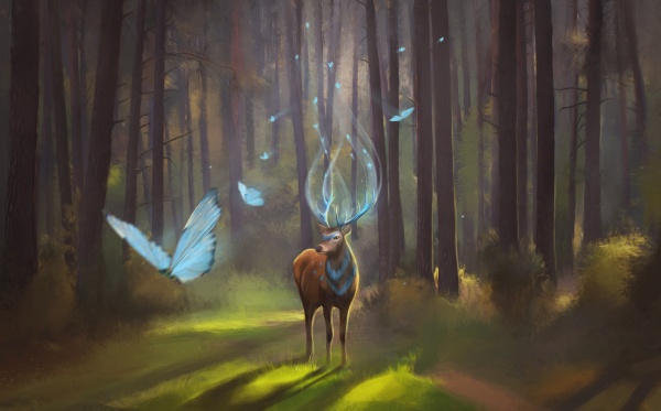 Deer