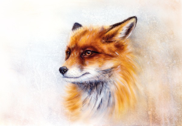 The Fox