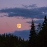full moon