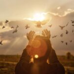Inspirational Quotes About Peace