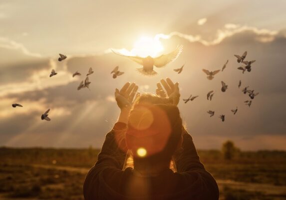 Inspirational Quotes About Peace