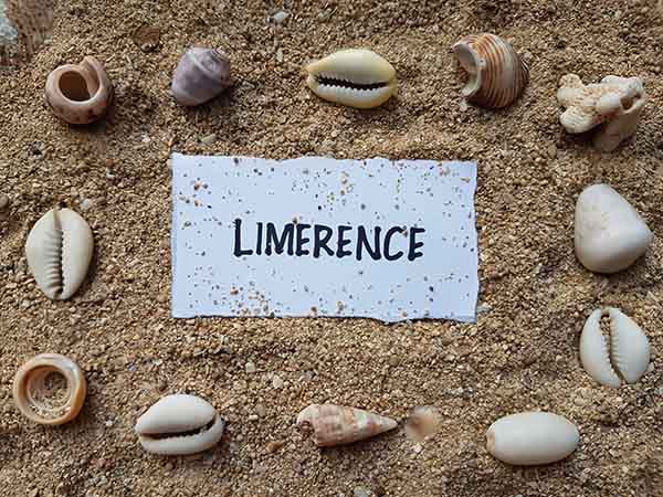 Limerence